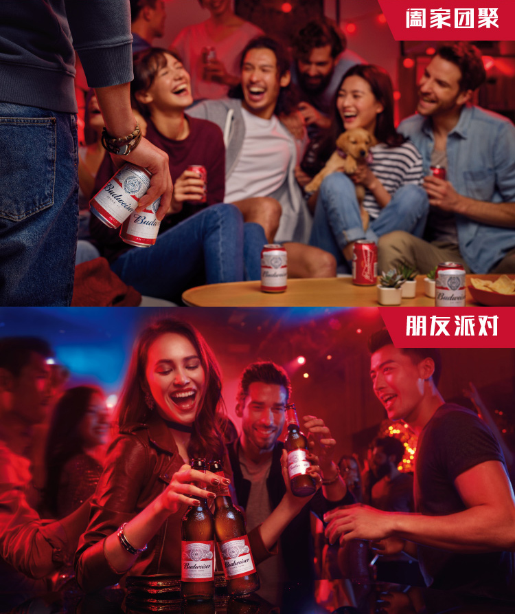 天猫超市 百威 小麦醇正拉罐 500ml*18听 图6