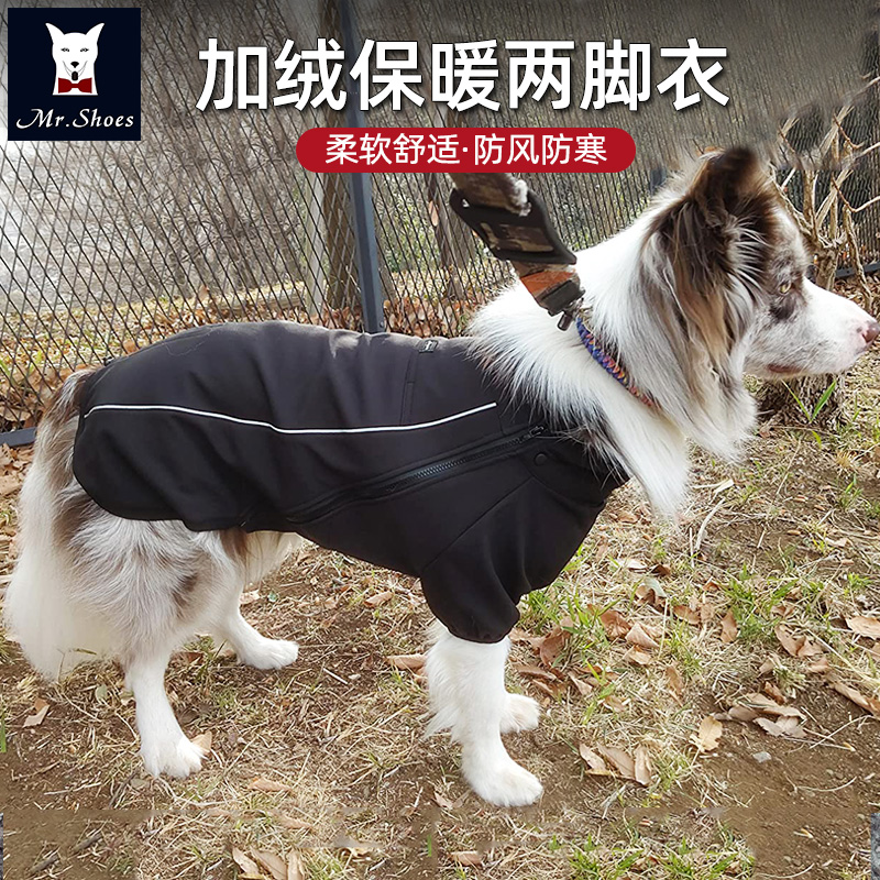 Dog clothes winter gold hair ladas Bradorsamoye medium large dog duo dog clothes plus velvet and thicken pet clothing