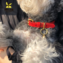 MM Personality Original Pure Handmade Custom Bull Leather Item Ring Italian Tannic Leather Pet Cat Dog Big Small And Medium Dog