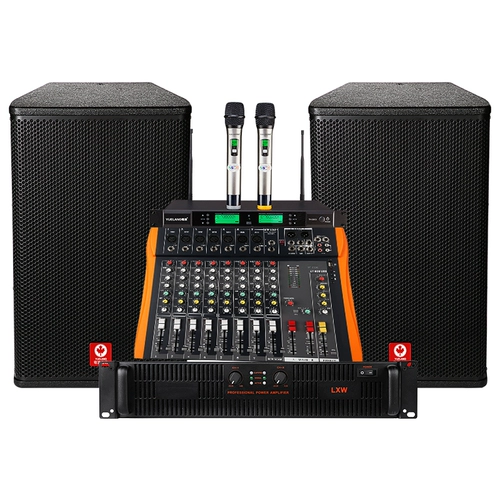 粤浪 ZY15 -дюймовый профессиональный большой конференц -зал Полный набор домашних караоке