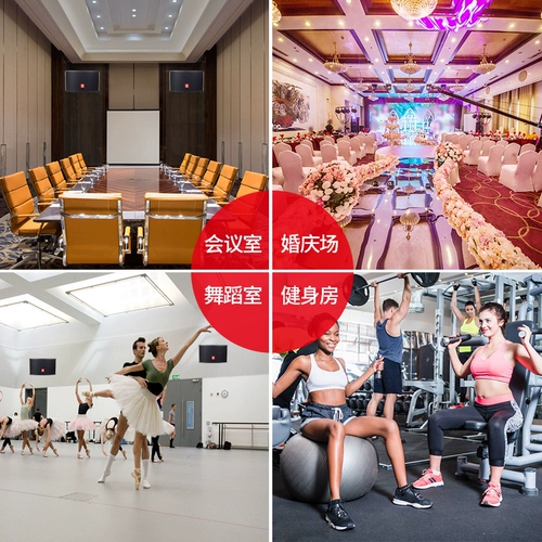 粤浪 K90 Family KTV Audio Set Полный комплект домашней гостиной маленькая и средняя танцевальная конференц -зал K Songkara OK на стенах Bluetooth Power Bass High -Dower Downer