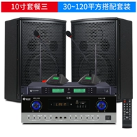 Колонки, беспроводной микрофон, 10 дюймов, 1 пары, 10 дюймов, G80, bluetooth, 1 пары, 10м