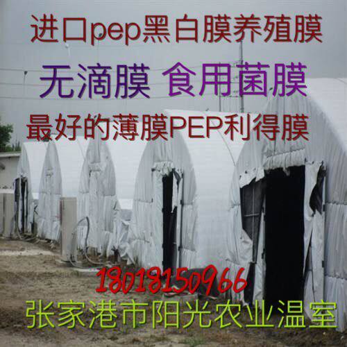 Manufacturer direct Plaske PEP lidget film Fenggu film black and white film insulating film green white film greenhouse without drop film