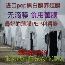 Factory direct Plac PEP tip film Fenggu film Black and white film insulation film Green white film greenhouse no drop film
