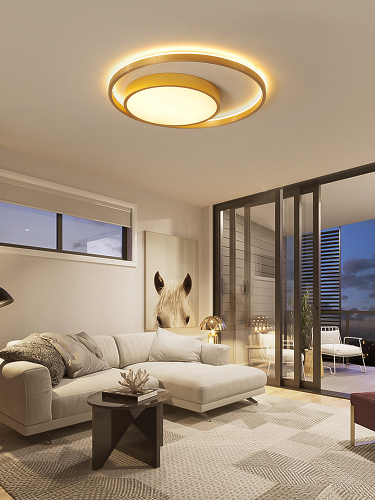 Living room lamp Nordic 2019 New LED suction ceiling lamp minimalist modern upscale golden atmosphere Lamp bedroom lamp