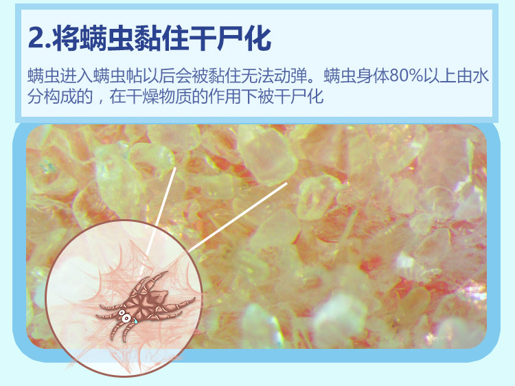 Nhật Bản Maru Rong 螨 贴 居 居 居 居 居 居 - Thuốc diệt côn trùng 	bình xịt côn trùng thái lan