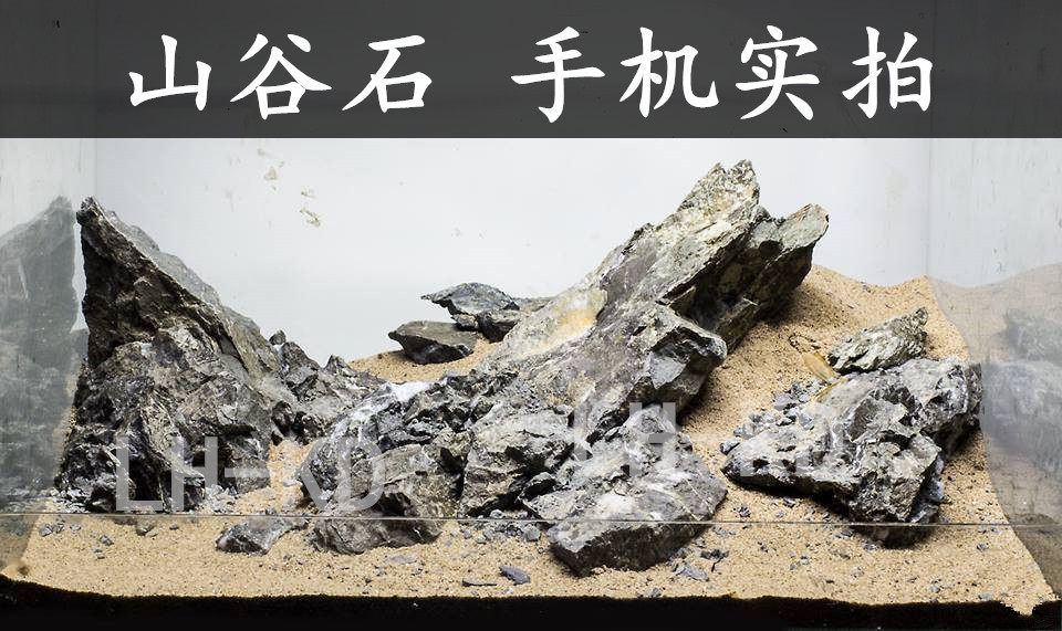 山谷石和青龙石,青龙石造景石头,山谷石造景(第2页)_大山谷图库