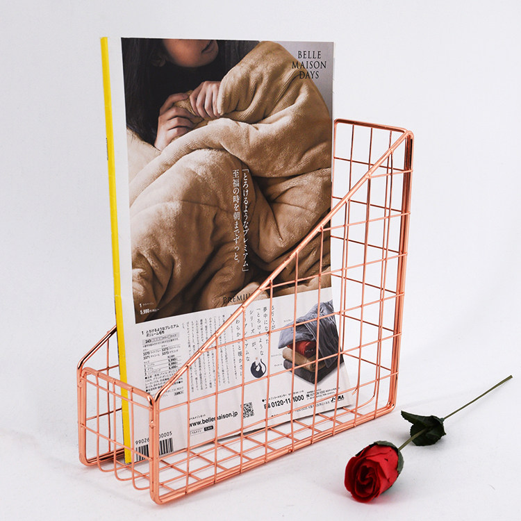 ins Simple fashion document rack Office desktop storage shelf Iron wire art Rose gold finishing storage book stand