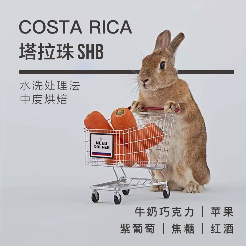 Storm Away Coffee Costa Tara Beads Single Pint Black Coffee Coffee Powder Coffee Beans