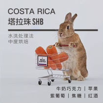 Ran Coffee Costa Rica Tara beads Black Coffee coffee beans