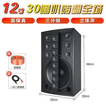 Professional Ktv Audio System for Home Karaoke, Dance, Conference Rooms, Stage, Bars, Foot Massage Parlors, Hotels, and Karaoke Speakers