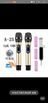 Rechargeable Wireless Microphone, One-To-Two Professional Handheld True U-Band Fm Karaoke Microphone with True Diversity and Anti-Howling