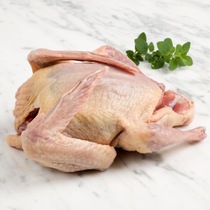 Xinjiang milk pigeon Tianshan pigeon meat nutrition delicious edible pigeon meat about 380gX2 Shunfeng