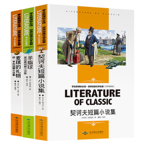 【随机一本】中小学生阅读小说