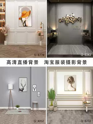 3D simple fast hand trembling anchor live background cloth indoor Taobao clothing video photo shooting photo photography