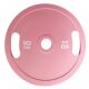 Colorful Macaron Barbell Plates, Large Hole Steel Plates, Hand-Held Dumbbell Plates, Universal Barbell Set, Home Squat and Deadlift Plates
