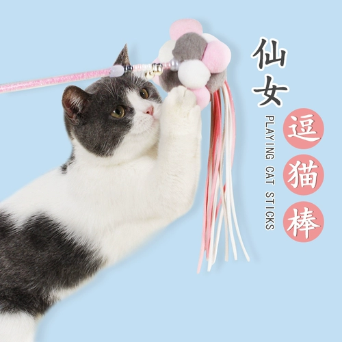 Кошка играет 猫 膳 膳 膳 Belly Ball Cat Mighty Spories  Artifact Cat Persion Products