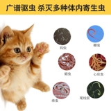 Звери используют альптол таблетки ветеринарные кишечные насекомые, кролики для кошек, домашние животные внутри и снаружи, репеллентные вредители насекомых, бесплатная доставка