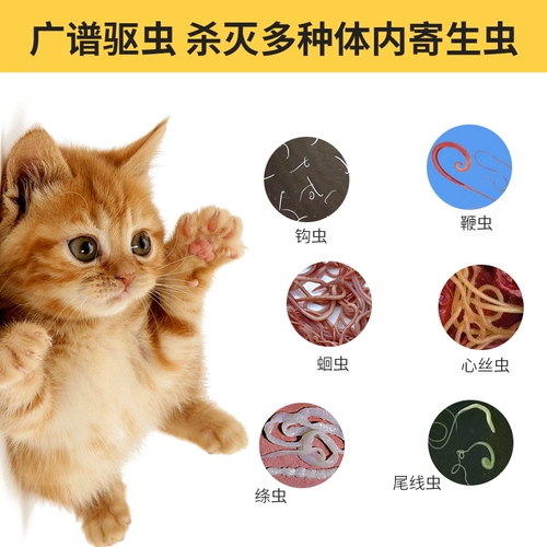 Звери используют альптол таблетки ветеринарные кишечные насекомые, кролики для кошек, домашние животные внутри и снаружи, репеллентные вредители насекомых, бесплатная доставка