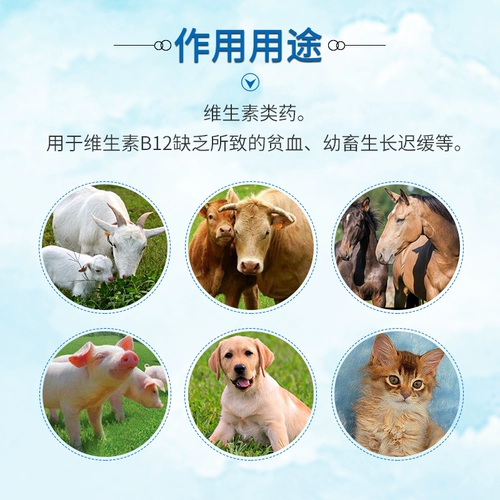 Витамин B12 Инъекция витамина B12 кристаллических креветок VB12 Игла 1 мл: 1 мг одна коробка 10 подлинная