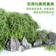 Simulated Silk Moss Landscaping Micro-Landscape Plant Decoration Artificial Bionic Lawn Stone Fake Moss Model Material