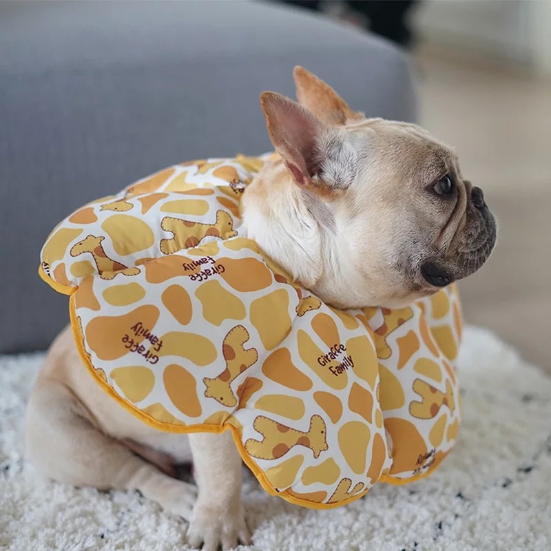 Pet cat dog Elisabeth vòng tròn mui xe mềm chống mite bắt cắn không thấm nước xấu hổ vòng tròn khử trùng bảo vệ - Cat / Dog hàng ngày Neccessities khay đựng đồ ăn cho chó	