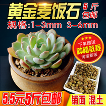 Koreas same gold soft Maifanshi Gold Maifanshi particles fleshy paving mixed soil medium 5 kg