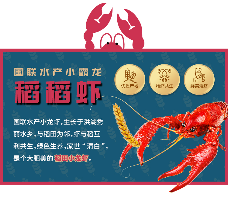 国联水产 精选4-6钱 麻辣小龙虾750g*3盒 图4