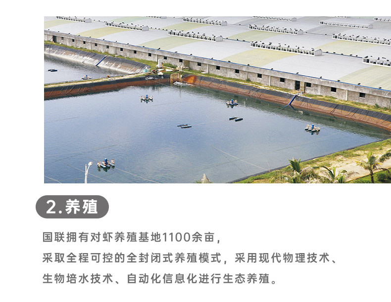 上市企业 国联水产 虾肉手打虾滑 200g*4袋 虾肉含量＞95% 图8