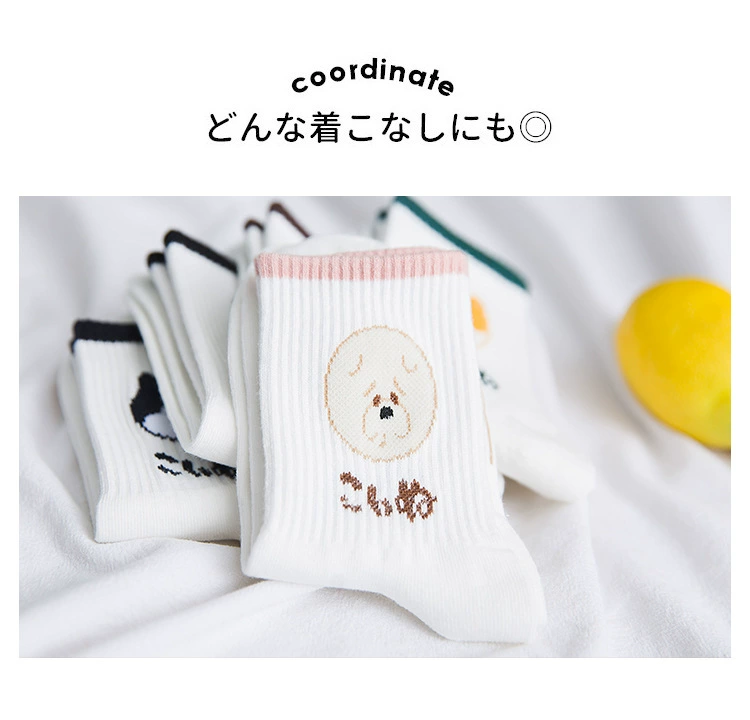 Vớ dài cô gái trong ống vớ cotton Đại học Harajuku Hàn Quốc gió Nhật dễ thương dễ thương vui nhộn vớ cô gái