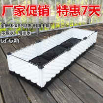 Vegetable grandpa balcony vegetable pot Extra large vegetable planting box Roof flower tank Rectangular vegetable garden plastic large flower pot