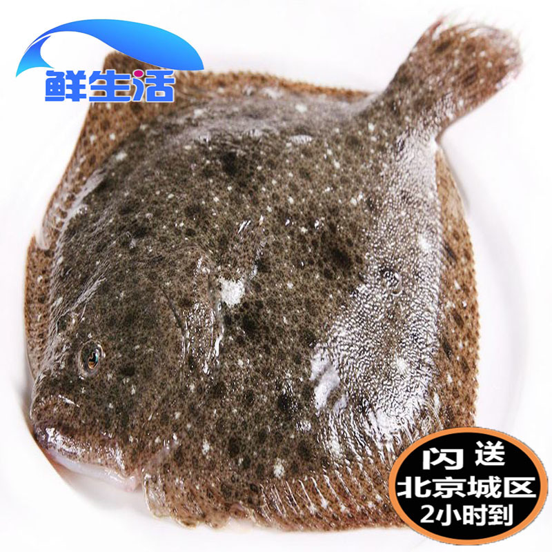 650-700g pieces of live turbot, fresh deep-sea fishing, steamed seafood, flounder, aquatic products in stock