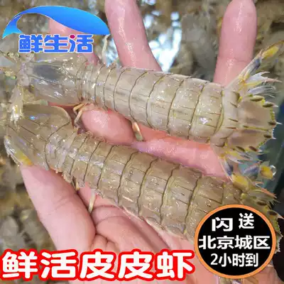 500g Beijing flash send male and female skin shrimp fresh seafood shrimp crawler fresh Pipa Shrimp rich shrimp mantis shrimp