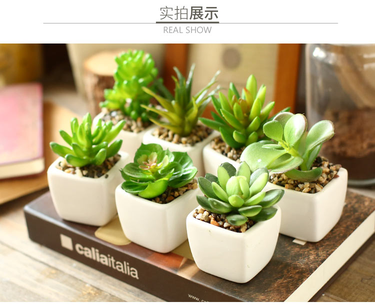 Nhà sáng tạo mô phỏng mọng nước trong chậu đồ trang trí văn phòng đồ trang trí máy tính để bàn trang trí nhà hàng trang trí phòng khách đồ dcor bàn làm việc