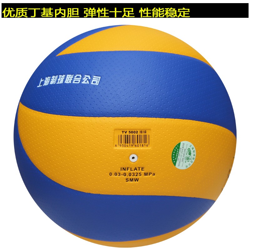 Ballon de volley - Ref 2010670 Image 5