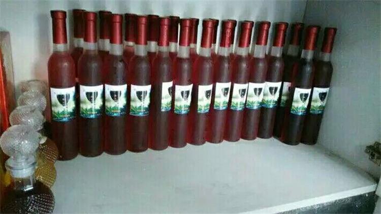 Cao cấp 375ml chai rượu vang đỏ chai rỗng chai rượu vang chai rượu vang chai trang trí chai rượu vang chai rượu vang chai rượu vang ly rượu pha lê