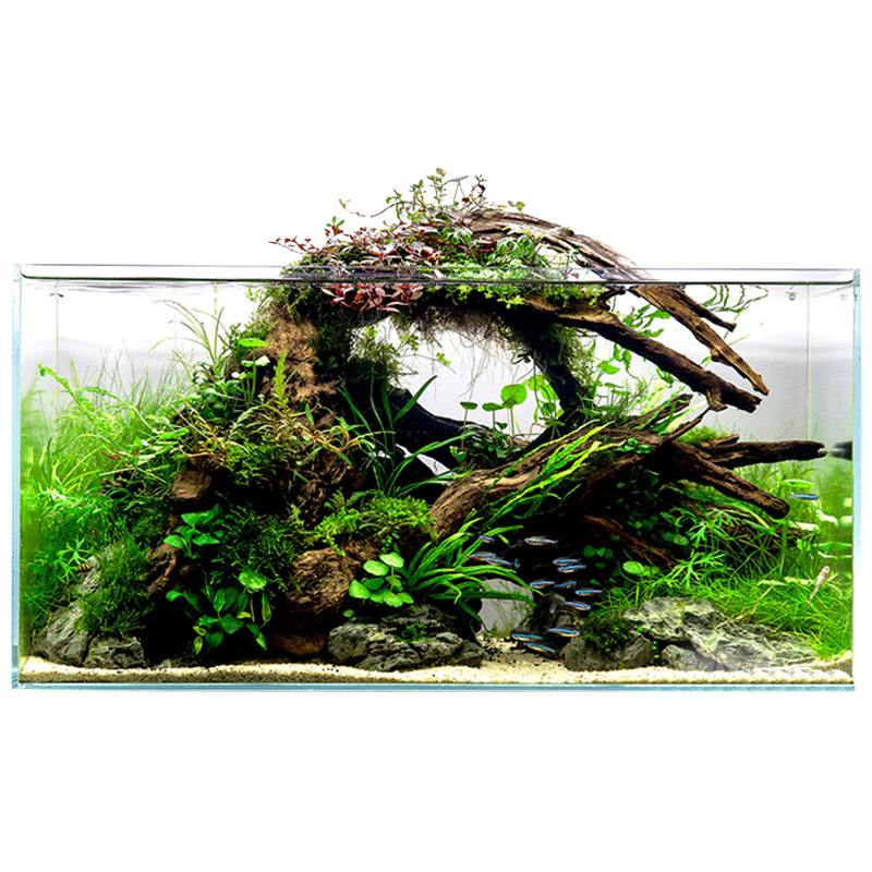 Задачи база прямоугольный параллелепипед. Объёмный куб и прямоугольный параллелепипед. Аквариум имеет форму прямоугольного параллелепипеда 50 35 40. Аквариум в форме прямоугольного параллелепипеда. Аквариум в форме прямоугольного параллелепипеда.