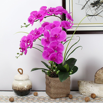 Fake flower New Chinese style retro indoor floral soft decoration Phalaenopsis suit Floral study ornaments Plastic flower simulation flower