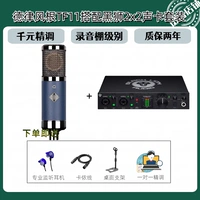 TF11 Delu Fengken+Black Lion Sound Card