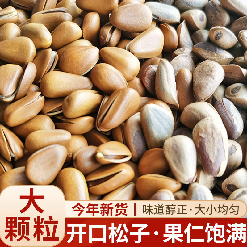 Xinjiang Songzi Bulk Large grain Original Flavor Fried Pine pregnant woman Tgrade opening red pine nut snacks 2021 New stock