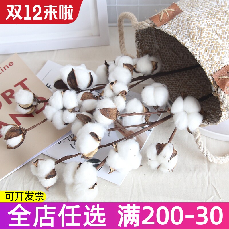 Natural cotton dried flower bouquet desktop decoration real flower shooting props simulation kapok flower arrangement small fresh