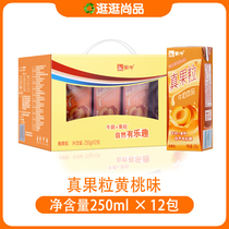 10 months of production Mengniu real fruit grain yellow peach flavor 250g * 12 boxes of nutrition balance discount promotion many provinces