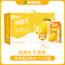 In October Mengniu sour milk Awn fruit taste 250mL * 24 sour and sweet nutrition promotion