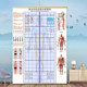 Posture assessment form Hanging stick-type body test gym yoga studio private teacher height arm span grid body comparison chart