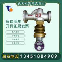 LFX split rotor steam flow meter mechanical direct reading cumulative boiler steam DN25 50 80 100