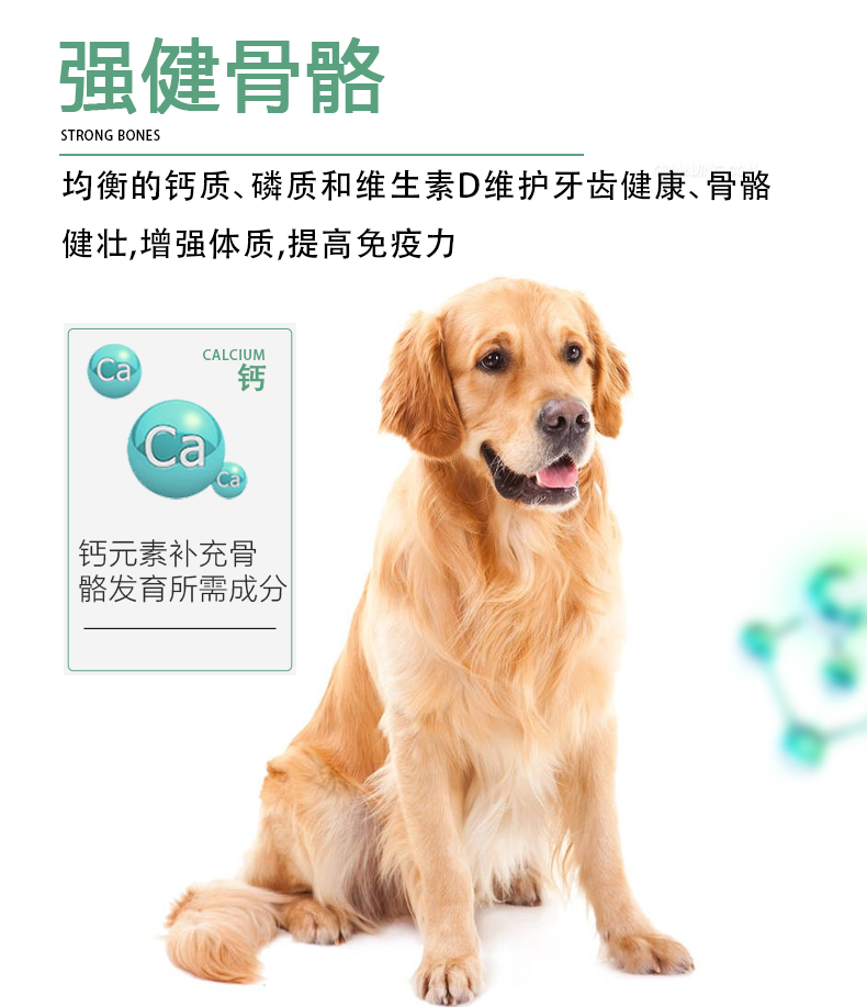 Paddytime thức ăn cho chó yêu thích nhất dành cho người lớn Chó 30 kg đầy đủ giống chó Teddy Golden Hair chủ yếu là thức ăn chủ yếu 15kg thịt bò hương vị - Chó Staples thức ăn cho poodle