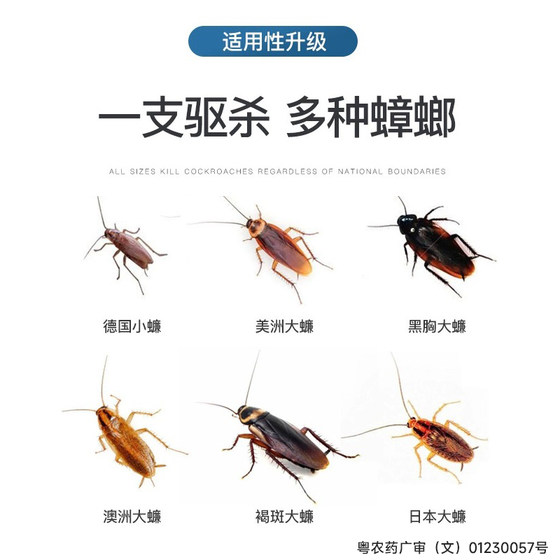 Chaowei cockroach medicine household cockroach killing gel bait indoor end non-one nest whole nest repellent non-toxic anti-Xiaoqiang artifact