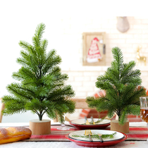 Small Christmas tree ornaments desktop PE Christmas tree home decoration Shopping mall hotel supermarket window scene decoration dress up