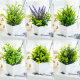 Simulated artificial flowers, home table creative ornaments, plastic flowers, fake grass and green plants, indoor ornaments, mini ornaments, bonsai