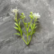 DIY Artificial Plastic Flowers, Roses, Fresh Flowers, Flower Accessories, Plant Decorations, Hand-Woven Bouquet Accessories